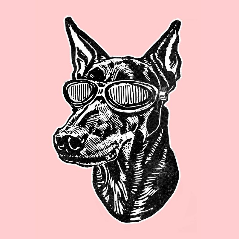 Dobermann