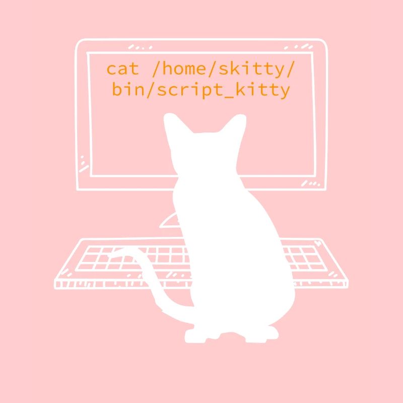 Katzenbesitzer Katzen Programmierer Informatik