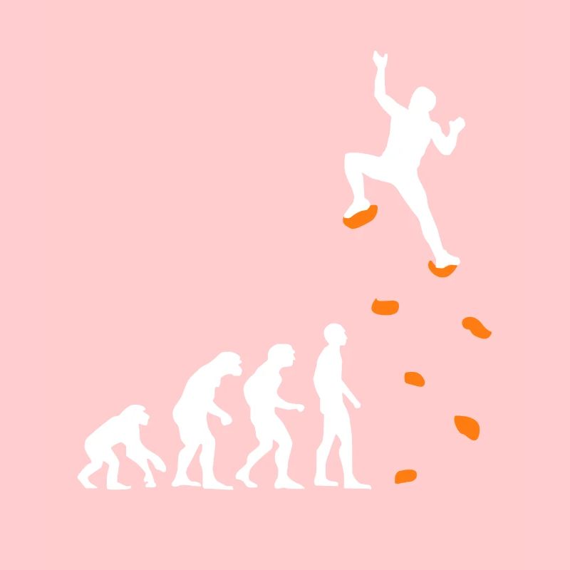 Kletter Evolution Kletterwand Klettern Bouldern