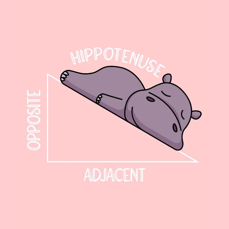 Algèbre Math Étudiant Professeur de Mathématiques Hippotenuse