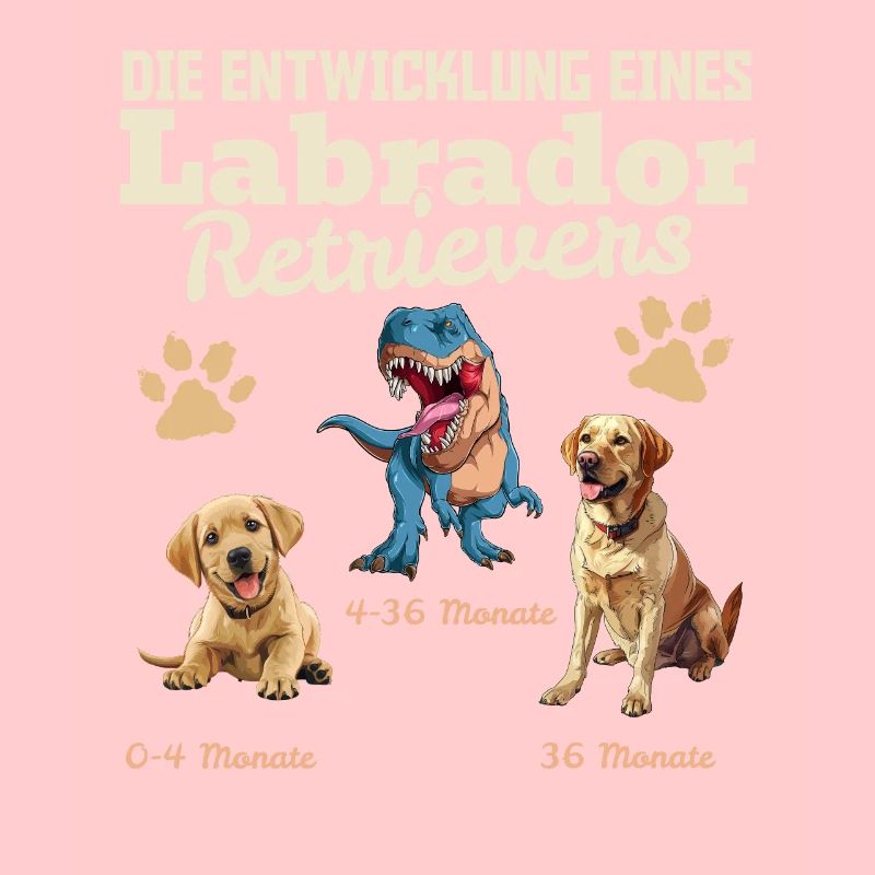 Hundebesitzer DIE EVOLUTION EINES LABRADOR