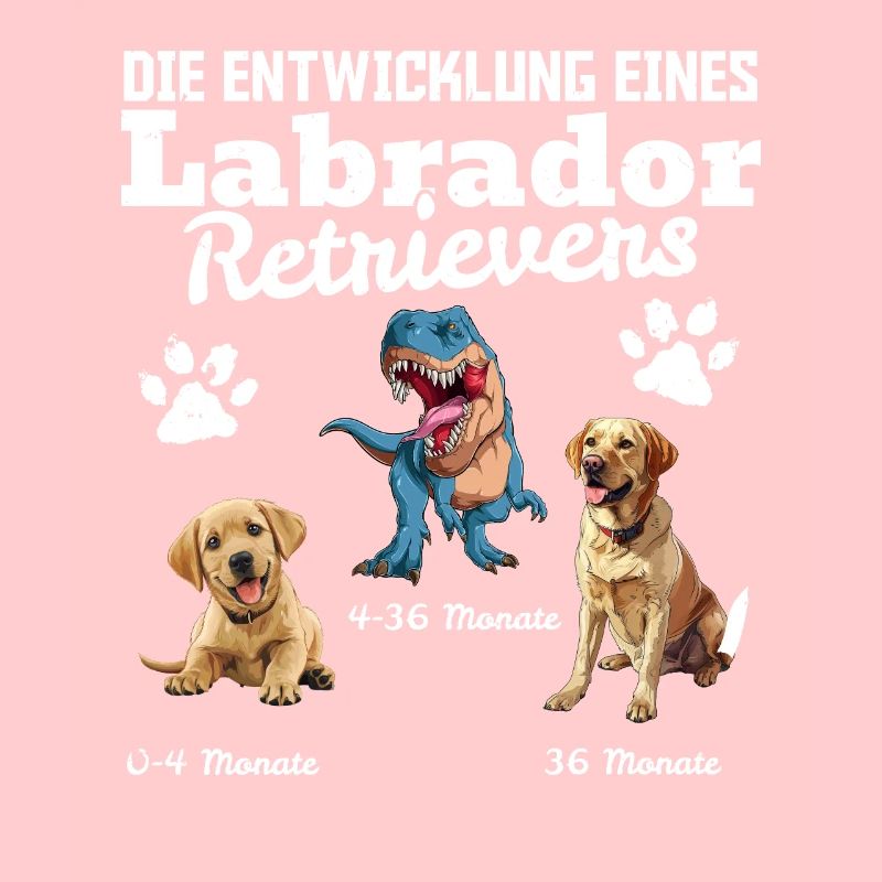 Hundebesitzer DIE EVOLUTION EINES LABRADOR
