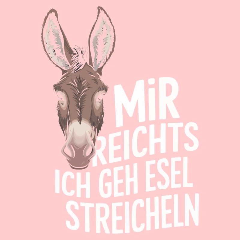 Esel Eselchen Maultier Muli