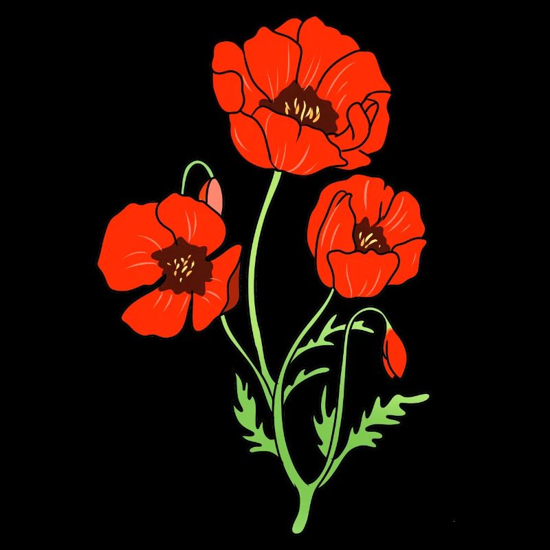 Mohnblume
