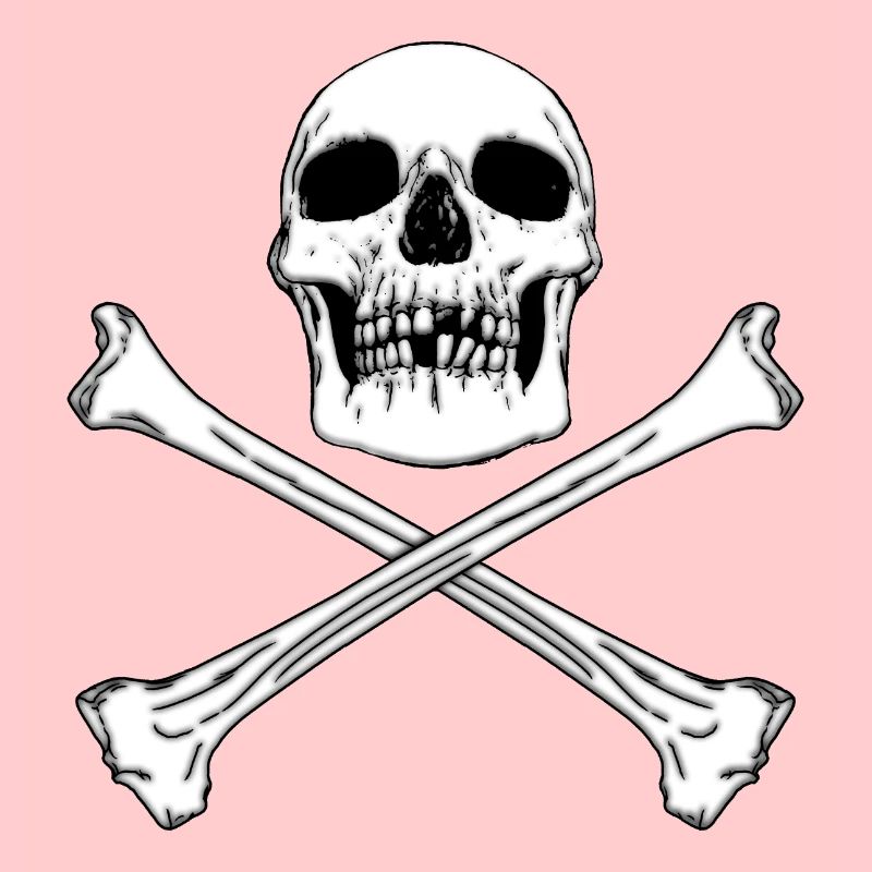 DRAPEAU PIRATE