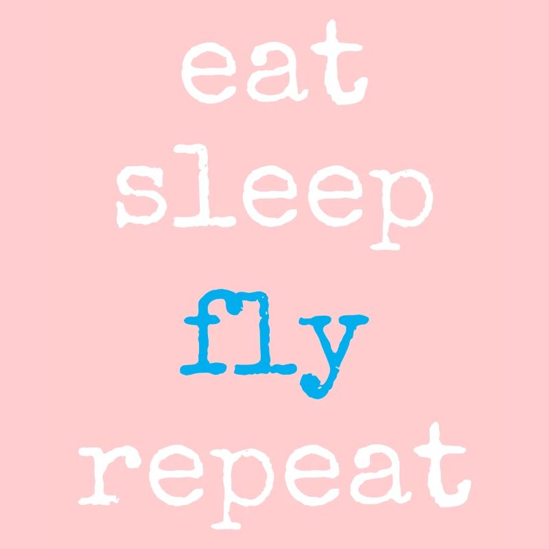 Pilote aux commandes