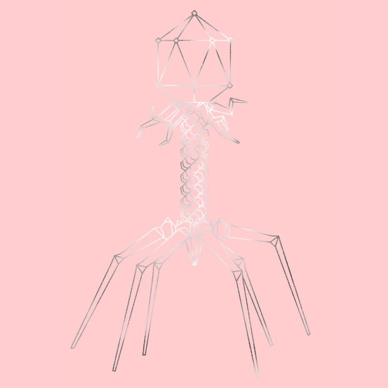 Phages