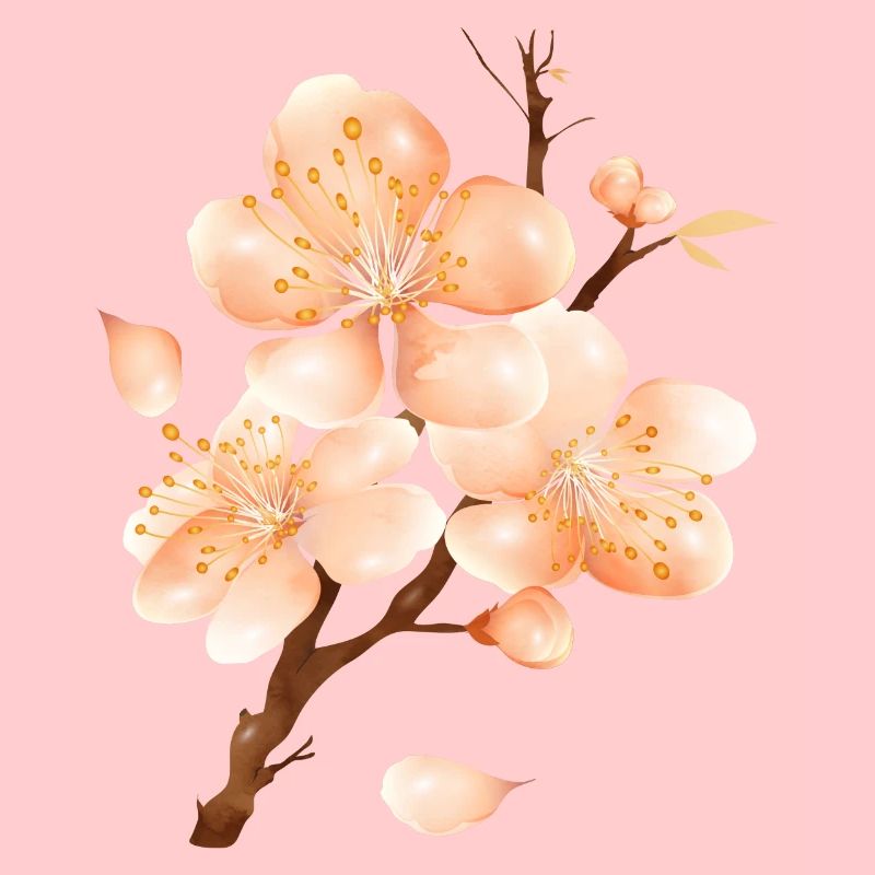 Branche de fleur de pêcher dans un ton pêche doux et velouté