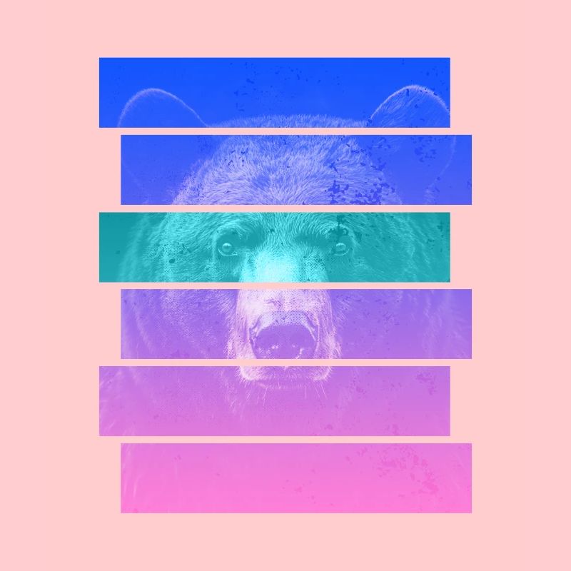 Bär