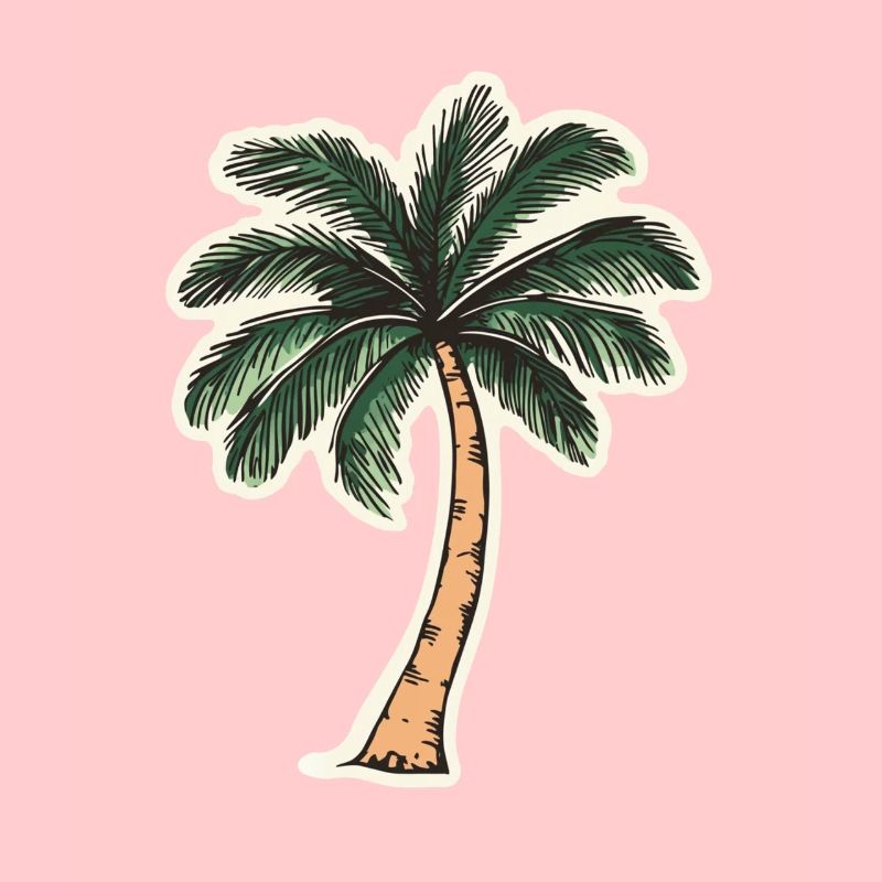 Palm tree