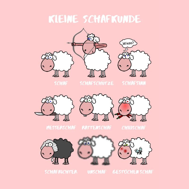 A little sheep knowledge
