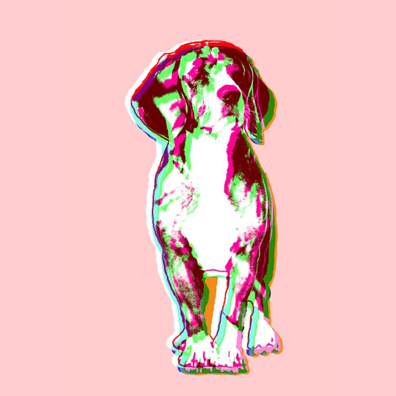 Beagle
