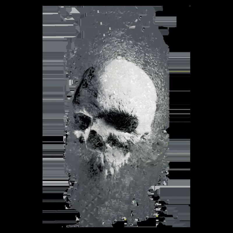 skull bug