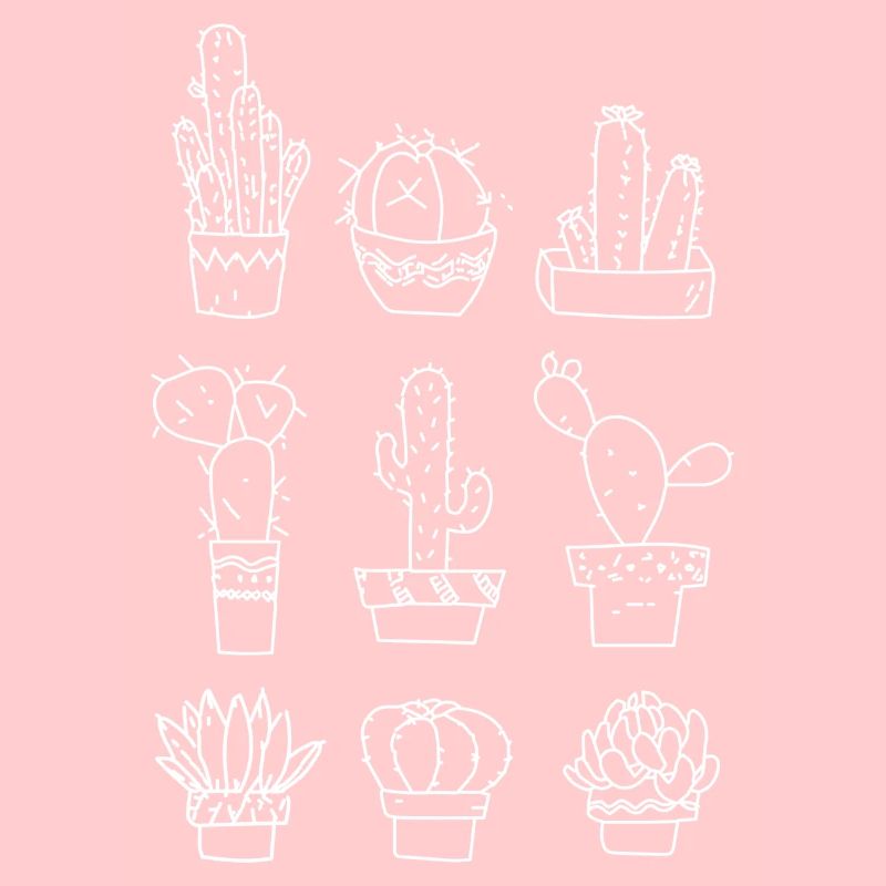 6 cactus blancs différents