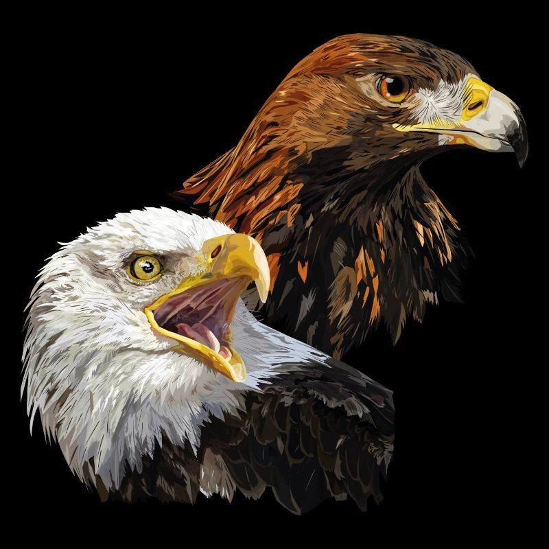 Bald Eagle and Golden Eagle