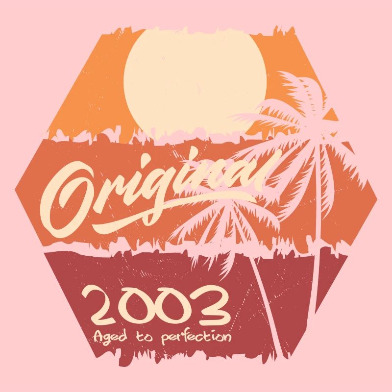 Original 2003 Retro 2003 Geburtstagsgeschenk