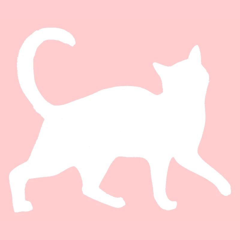 White Cat