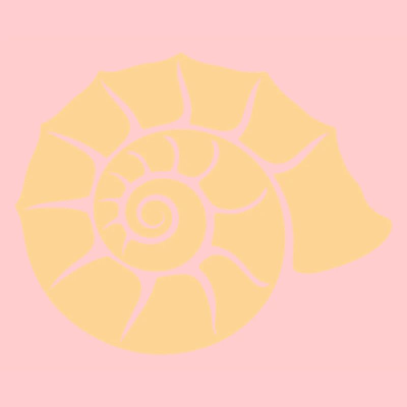 shell
