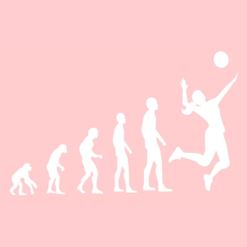 Volleyball Evolution