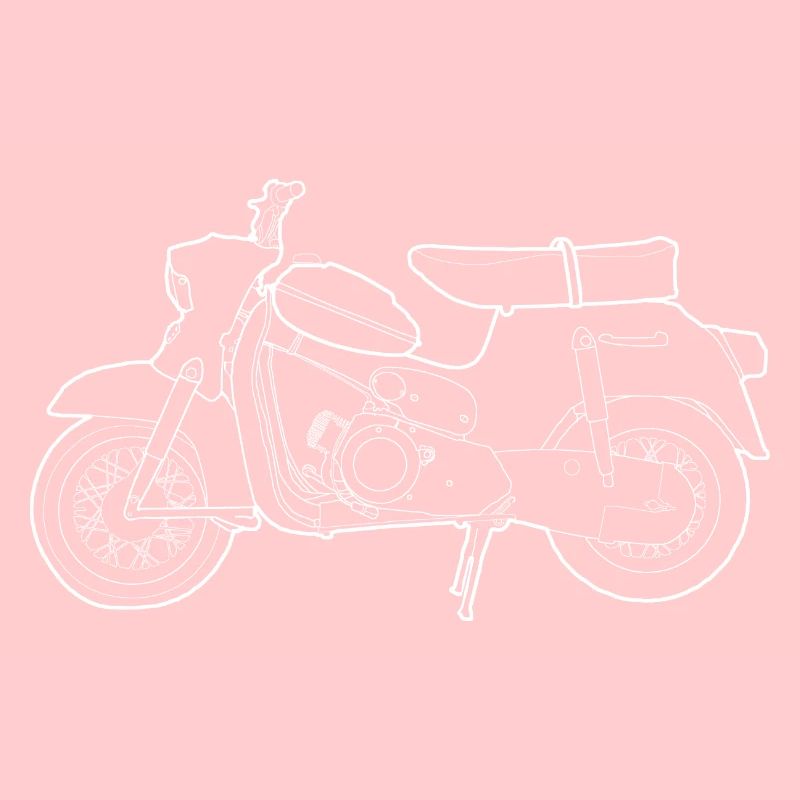 DS50 / Schwalbenfahrer / Ostalgie / Mofa Oldtimer