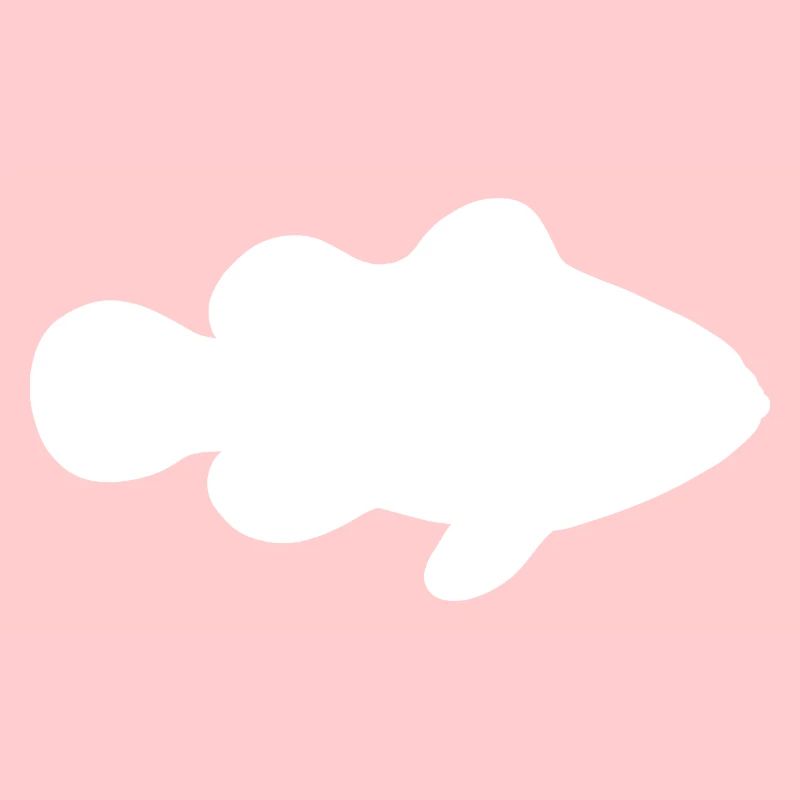 Fisch