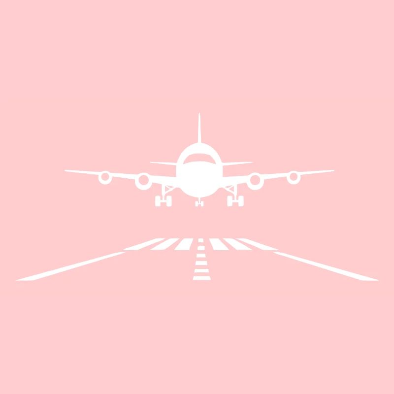 Flugzeug Landung Landebahn Flugpilot Pilot