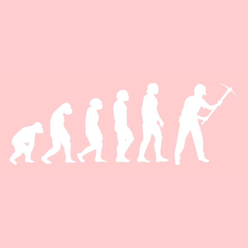 Evolution Bergmann