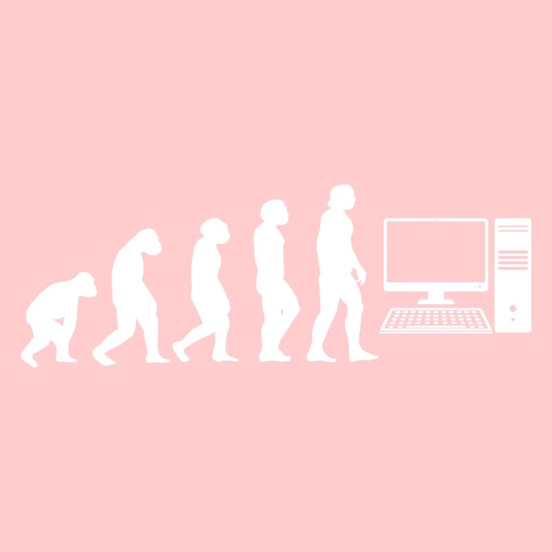 Evolution Programmierer