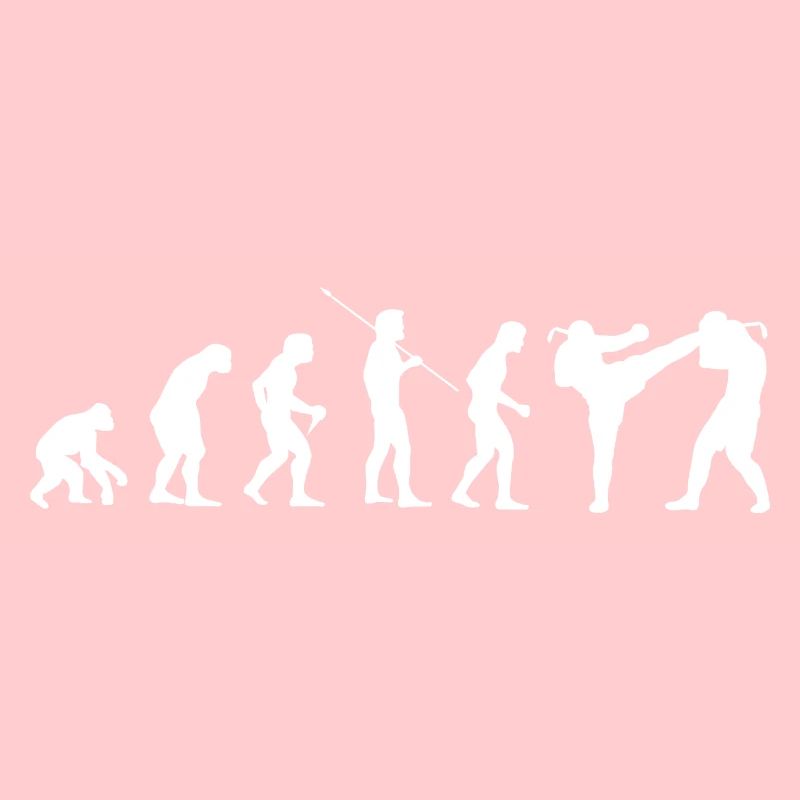 Evolution Kampfsport Karate Judo Kampfkunst Bjj