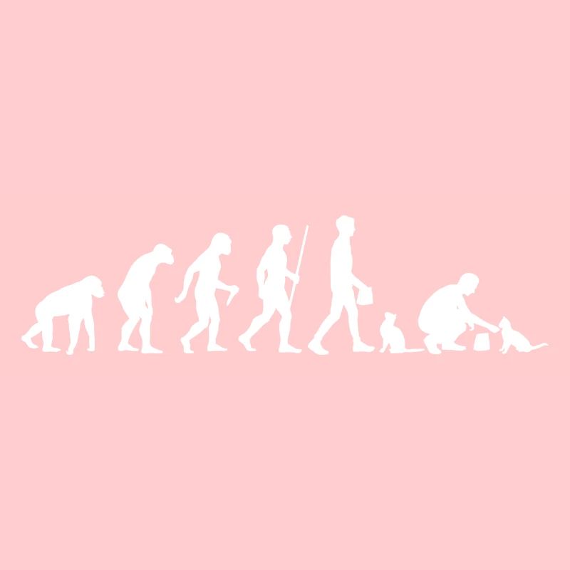 Evolution Cat Cat Propriétaire De chat Propriétaire de chat