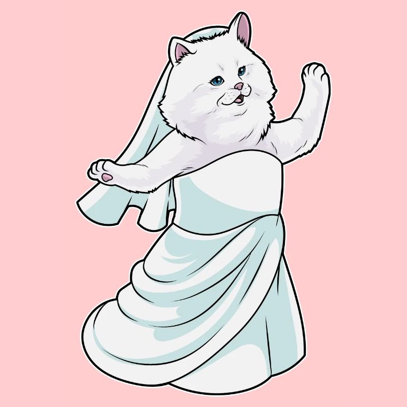 Chat persan robe de mariée