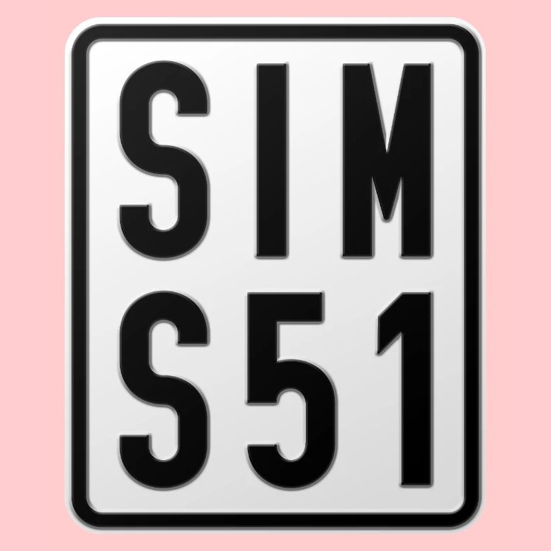 Plaque d’immatriculation du Simson S51 Mobylette
