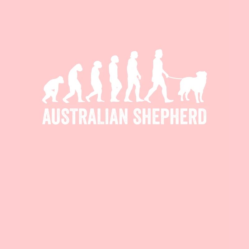 Australian Shepherd Evolution