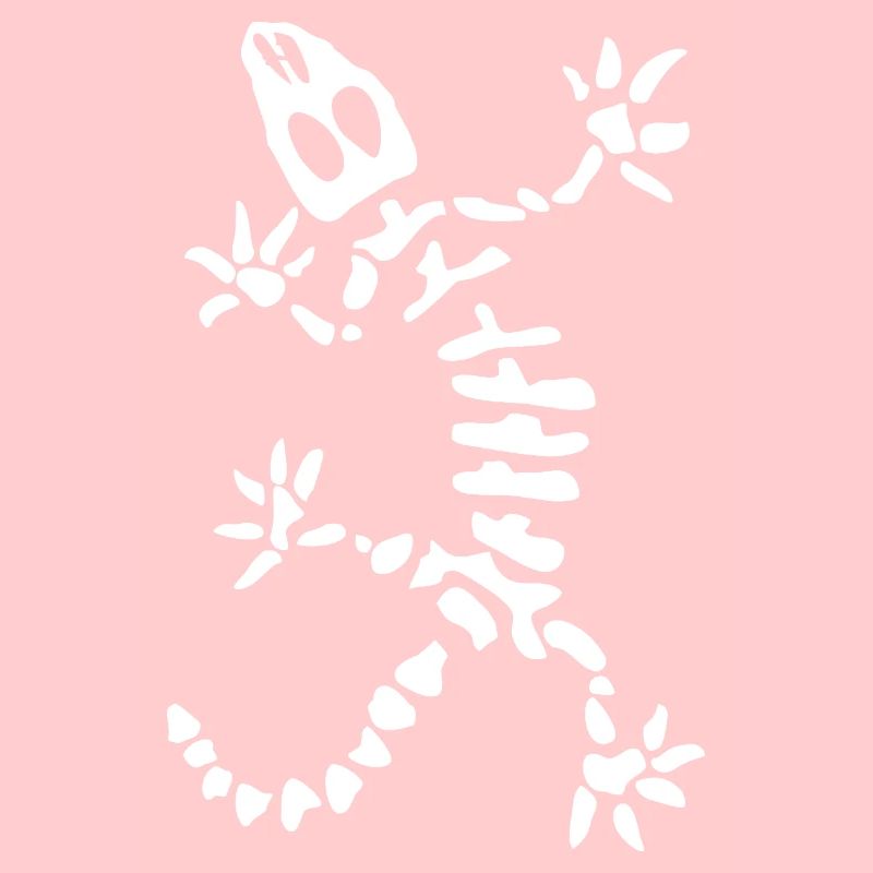 Gecko Skeleton: Lizard, Reptile & Bones