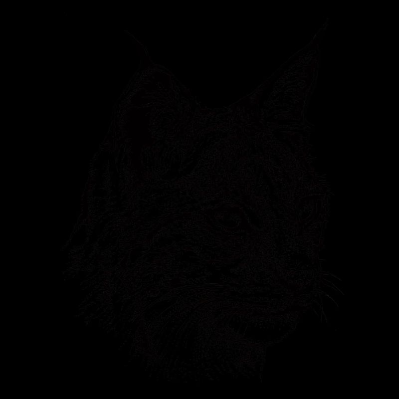 Luchs