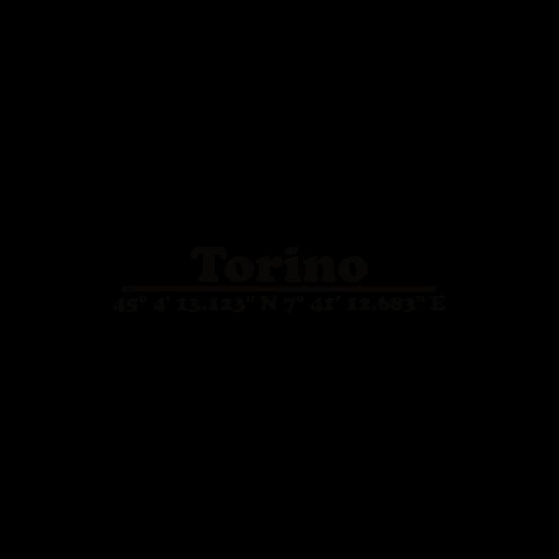 Turin Coordinates