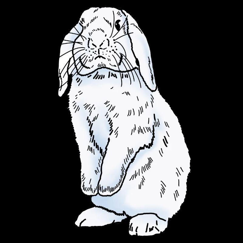 Rabbit white