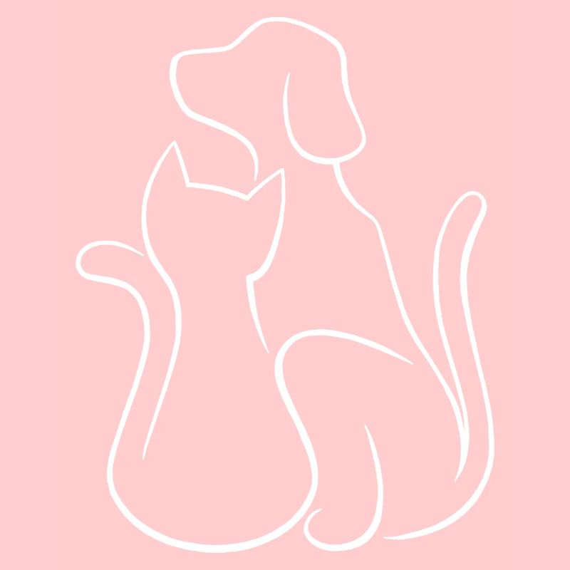 Hund und Katze Tierliebe