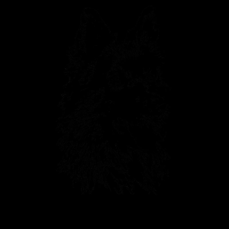 Deutscher Schäferhund