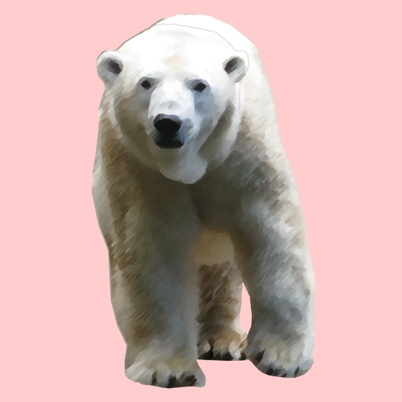 Polar Bear - Eisbär