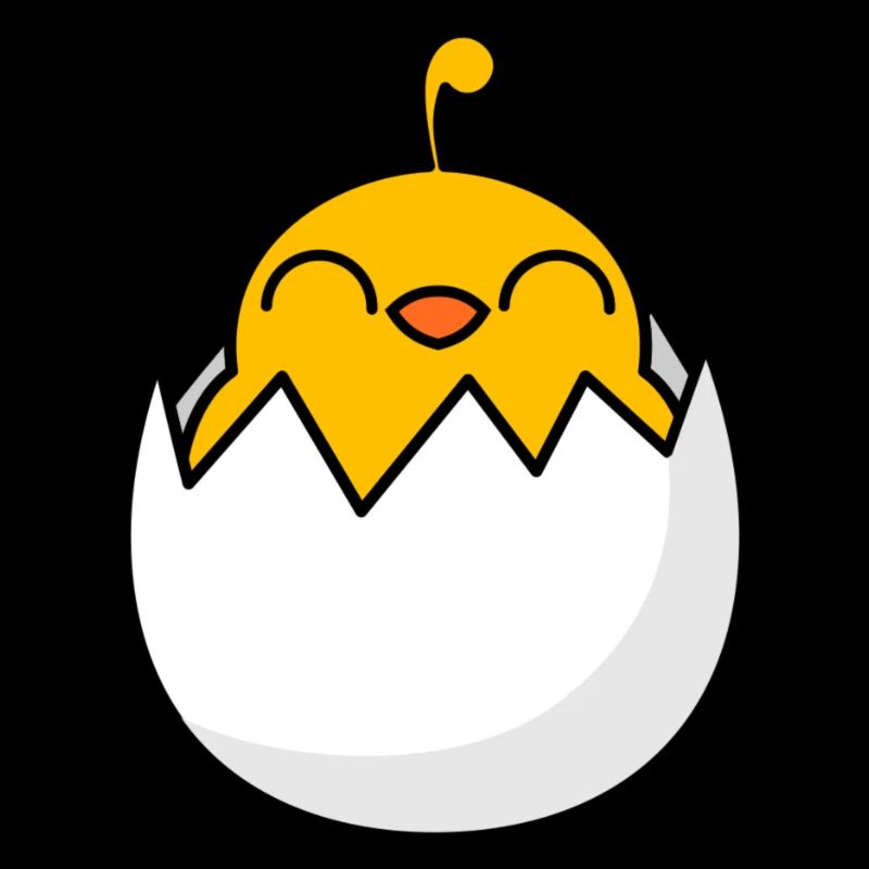 Chick Freshly hatched from the egg