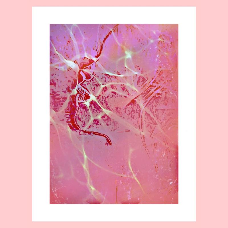 Abstract Pink Reflections