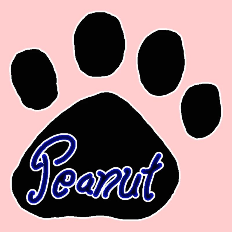 Logo de cacahuète