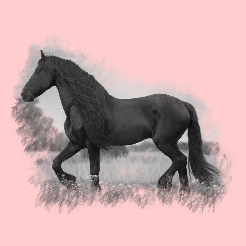 Cheval