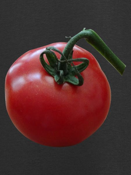 tomate tomate