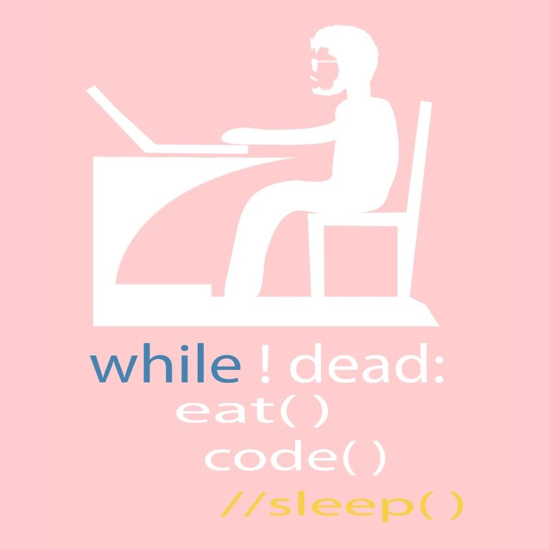 Softwareentwickler Programmierer Geschenk