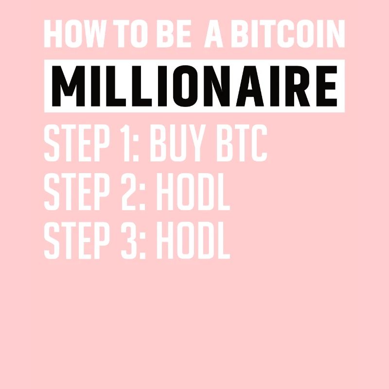Bitcoin Plan B BTC Satoshi Krypto Hodl Maximalist