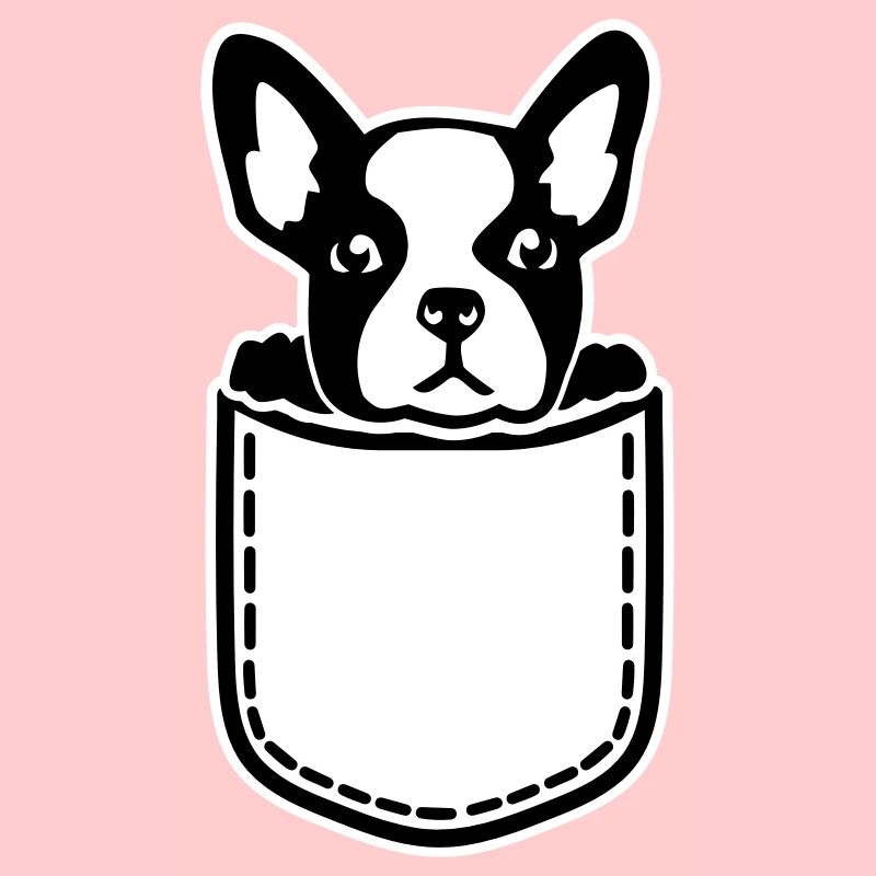 Français Bouledogue