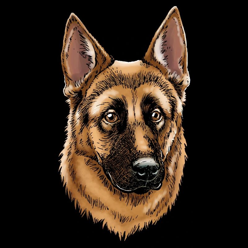 German Shepherd