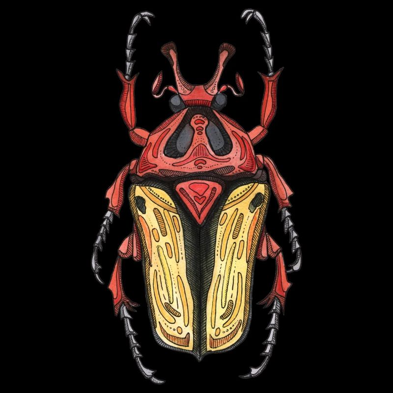 Big Beetle Stag - cerf géant